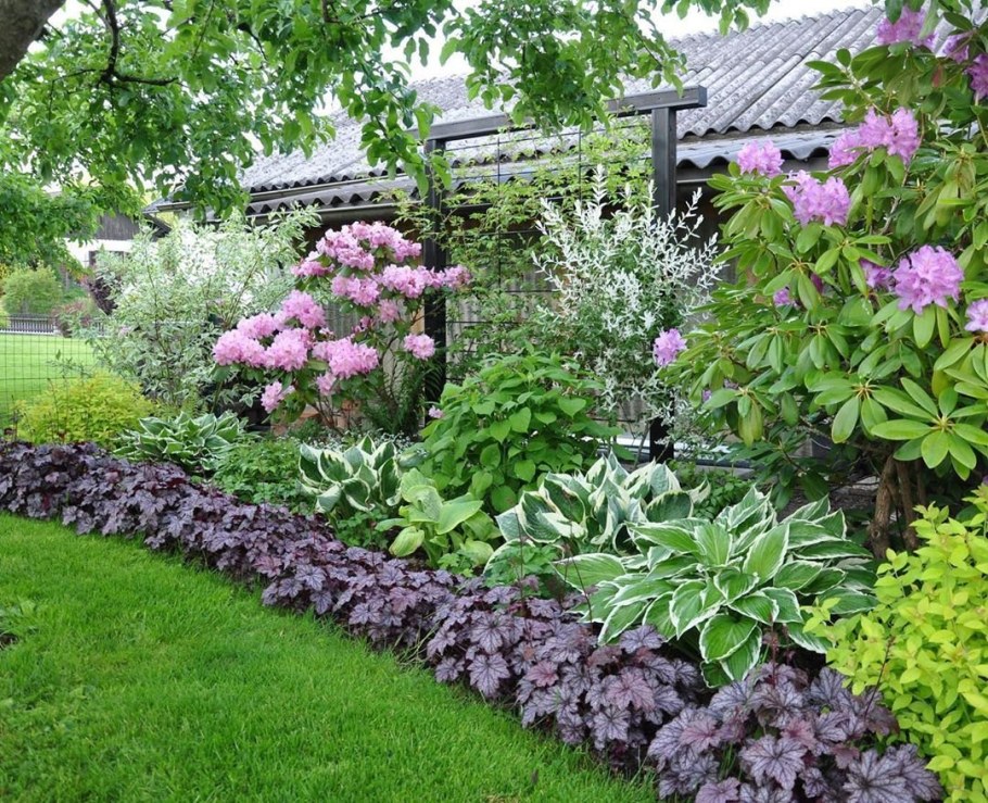 Миксбордер с пионами и гортензией