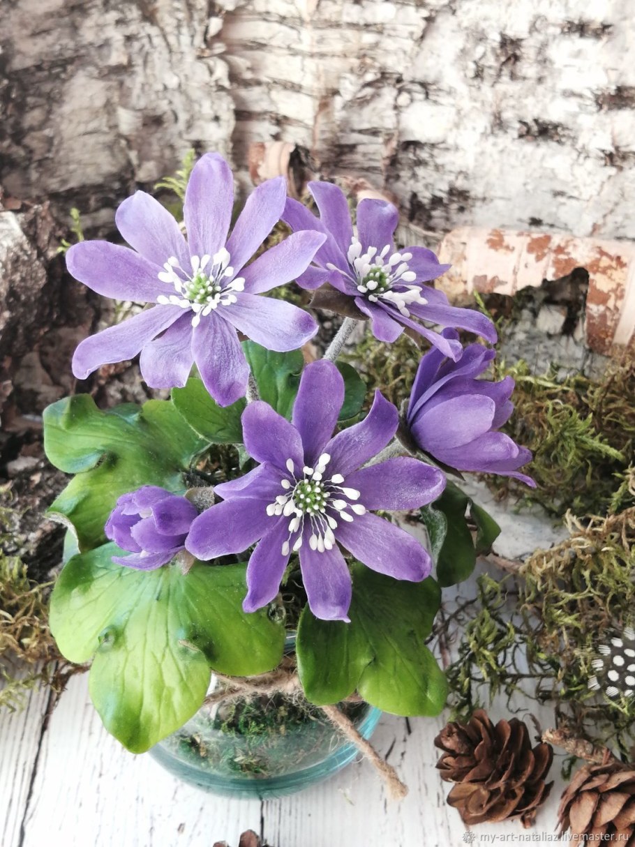 Печеночница цветок