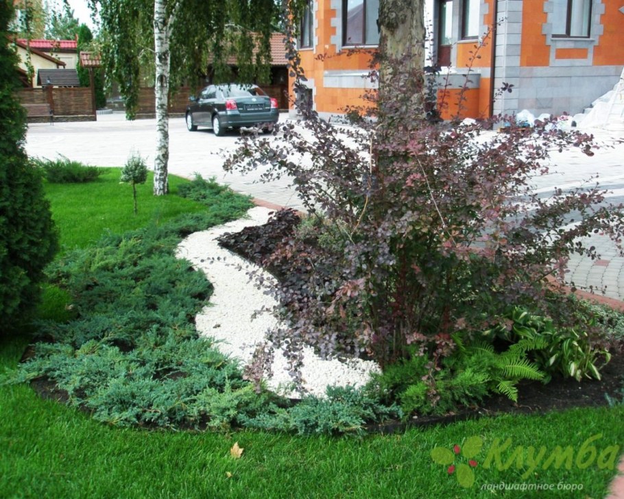 Клумба с жимолостью