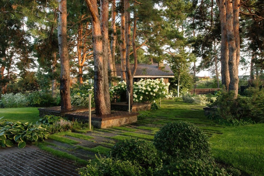 Лесопарковый ландшафт макроландшафт