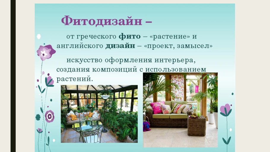 Растения в интерьере жилого дома