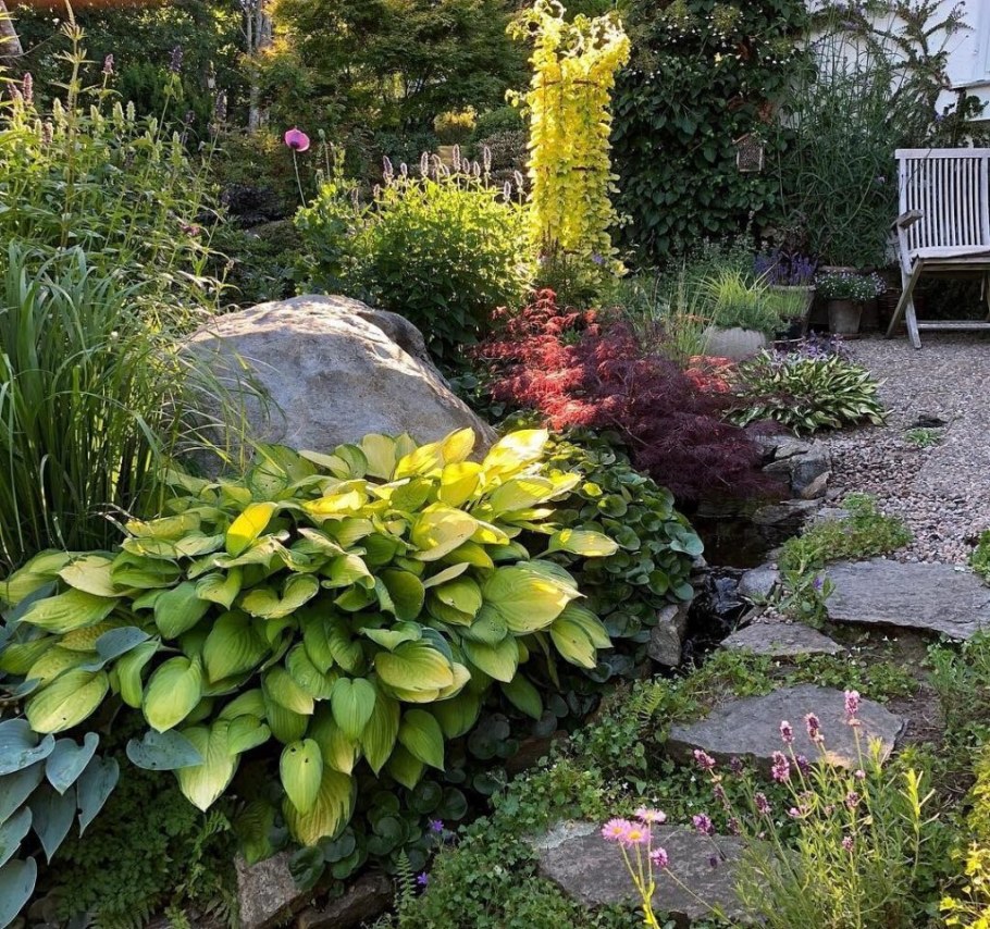 Растения для скандинавского сада