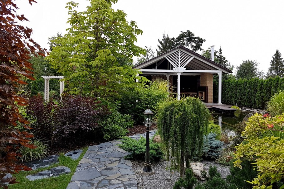 Клен зеленокорый в ландшафтном дизайне