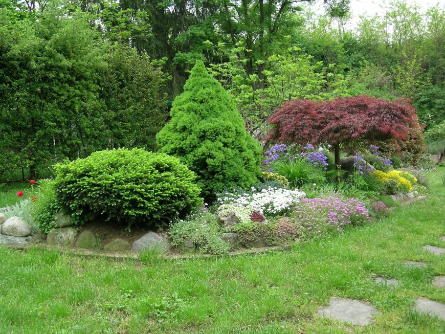 Ель обыкновенная Нидиформис (Picea Abies Nidiformis)