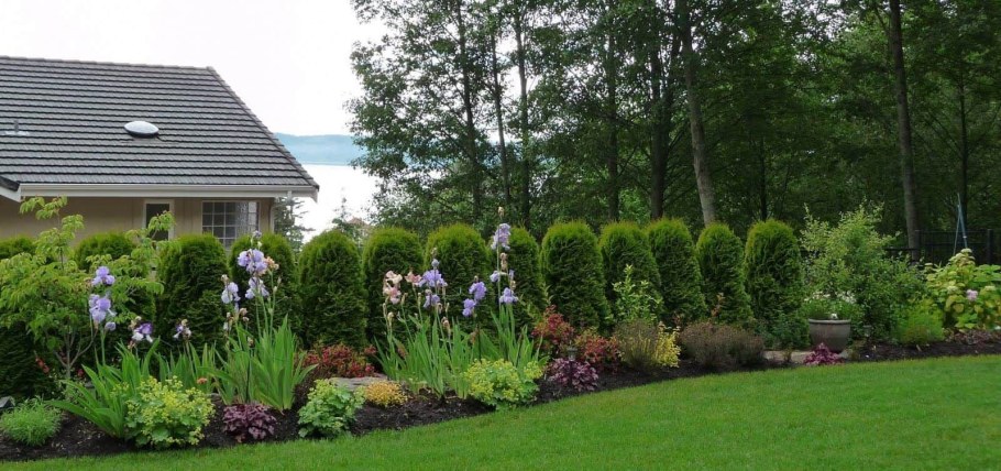 Малоуходный сад ландшафтный