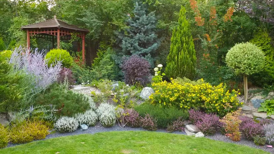 Миксбордер с ивой