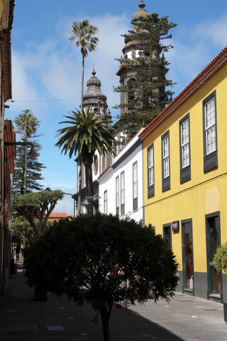 Собор Сан-Кристобаль-де-ла-Лагуна