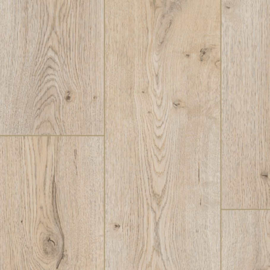 Дуб Нортленд