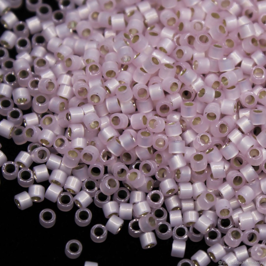 Miyuki Delica d557 f