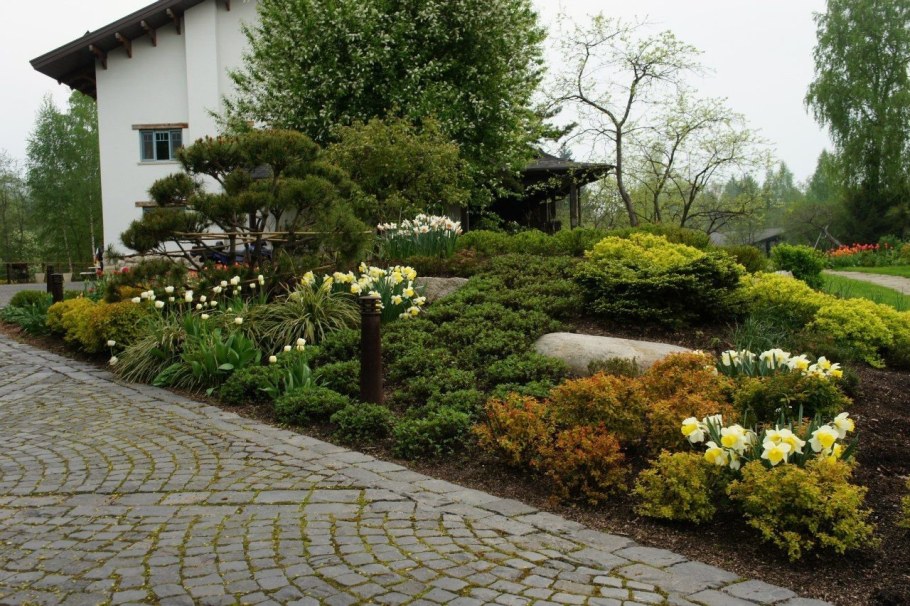 Лапчатка кустарниковая в ландшафтном дизайне