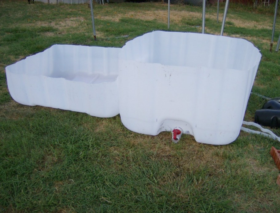 Аквапоника из еврокуба