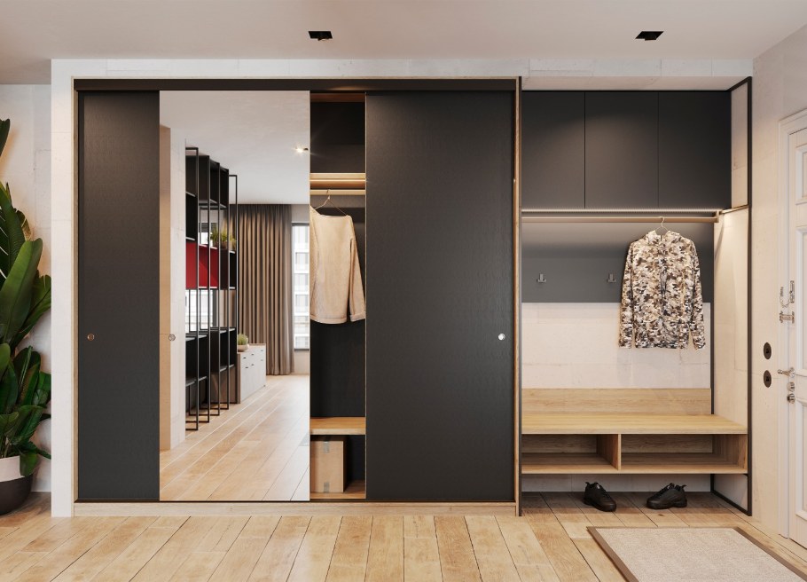 Мистер Дорс шкаф купе в прихожую