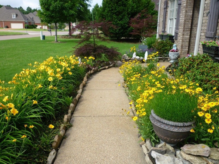 Лилейник Стелла де Оро