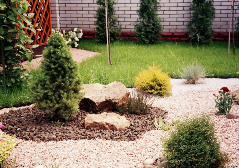 Рокарий с хвойниками