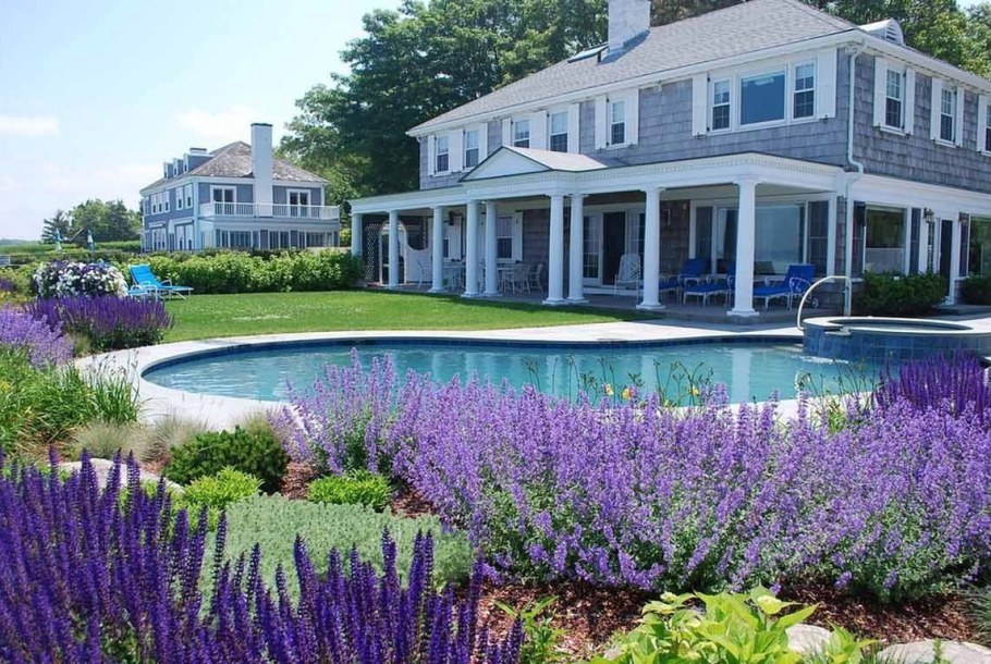 Лаванда в ландшафте