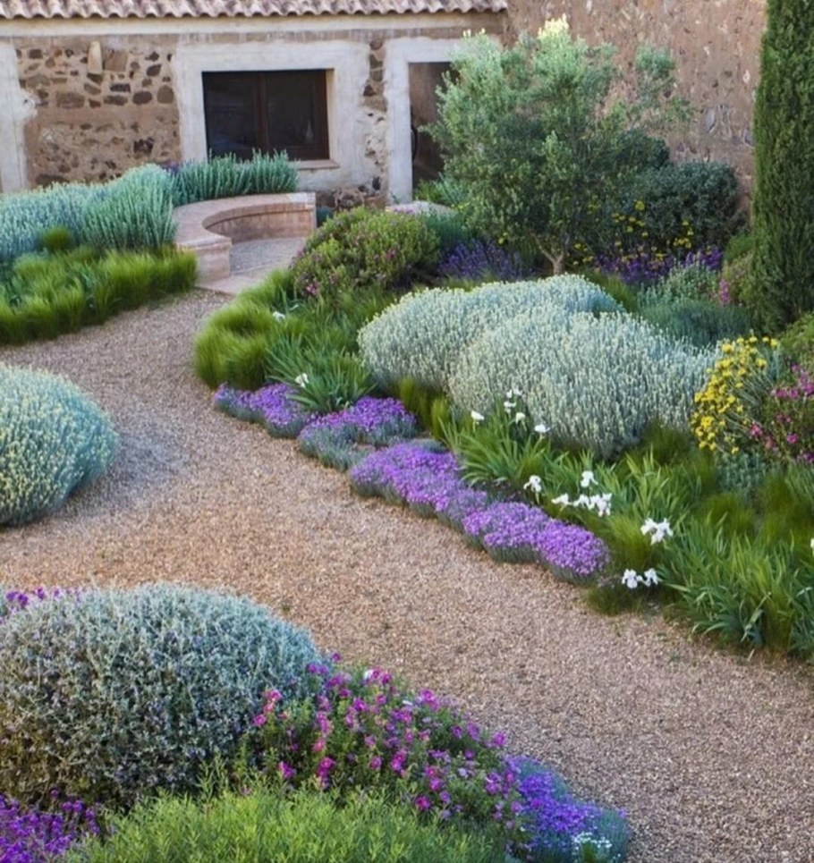 Самшит клумба Лаванда