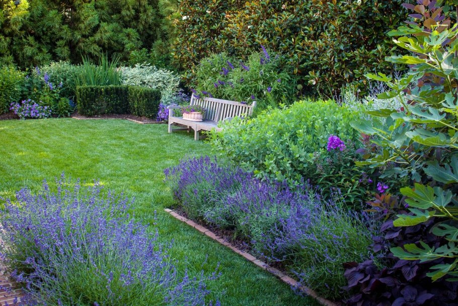 Хидкот Блю Лаванда в ландшафте