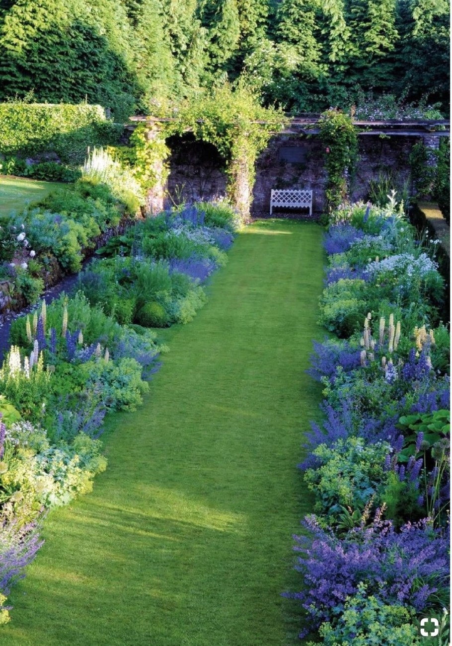 Миксбордер Сапелин