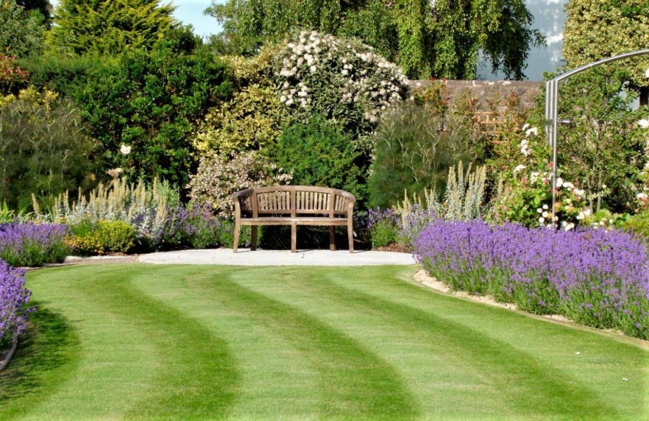 Миксбордер с самшитом и лавандой