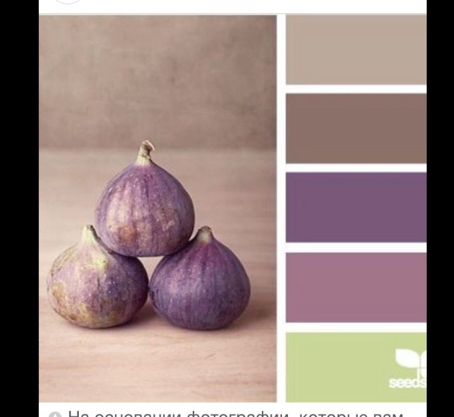Сочетание цветов фиолетовый и бежевый