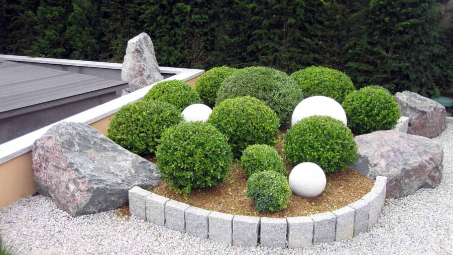 Розарий туя Даника