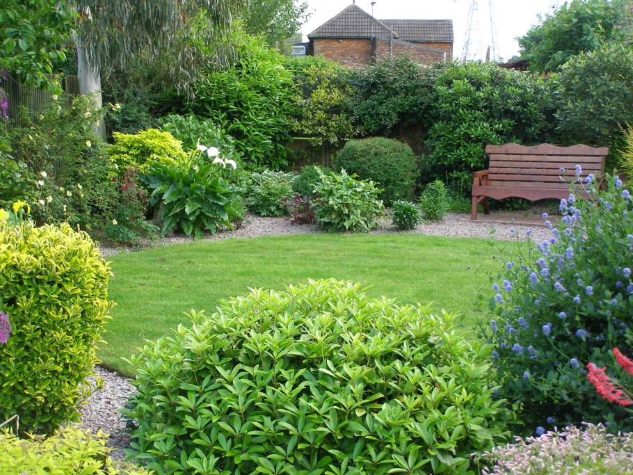 Дерен Компактус