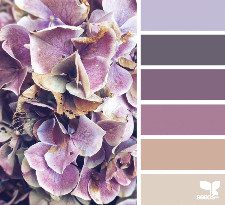 Палитры Сидс фиолетовые