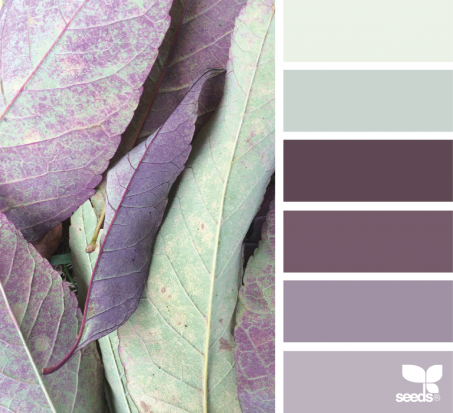 Цветовые сочетания с лиловым