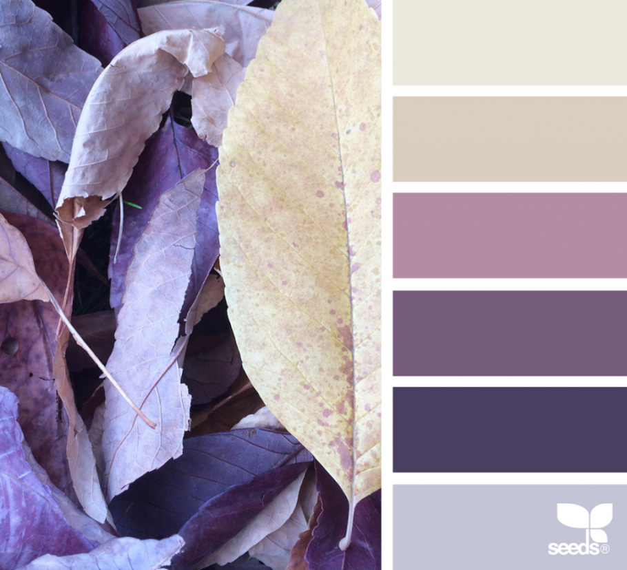 Цветовые сочетания с фиолетовым