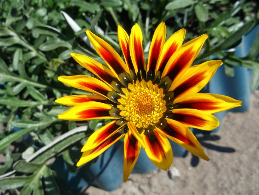 Гацания бордюрная смесь