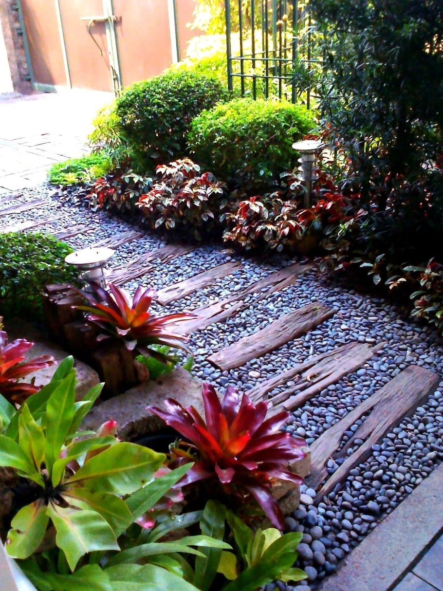 Как красиво посадить гозанию