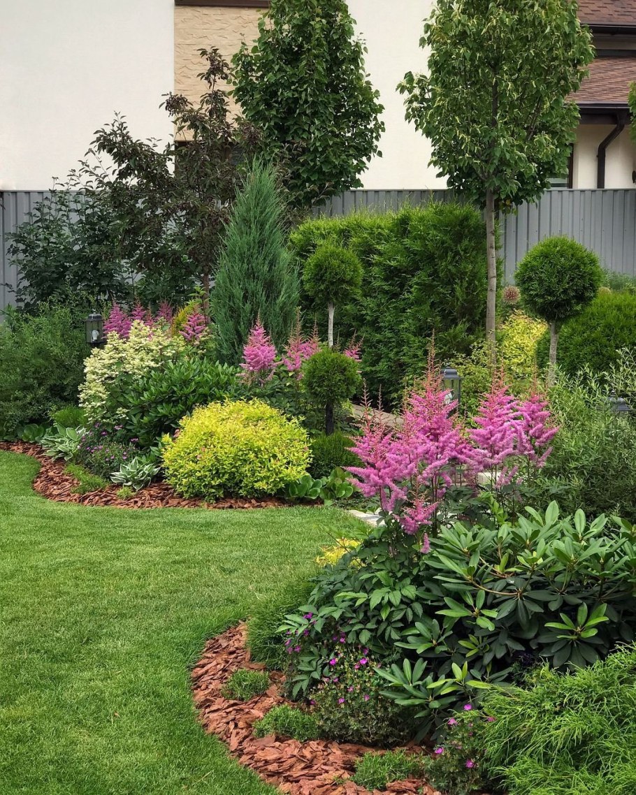 Миксбордер Хоста,Барбарис