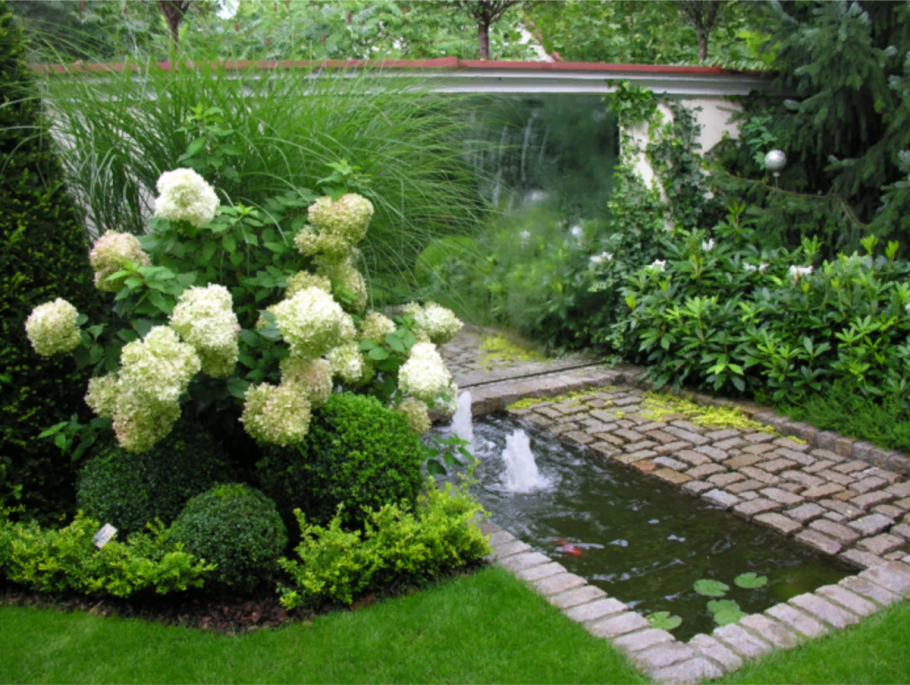 Спирея Калина бульденеж