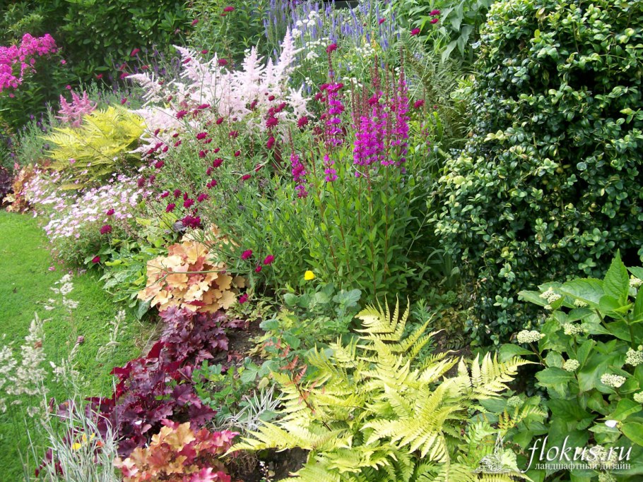 Клумба Хоста астильба гейхера