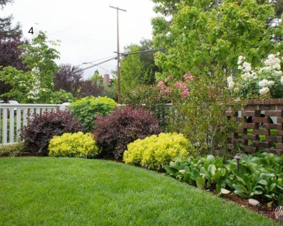 Барбарис, спирея, пузыреплодник