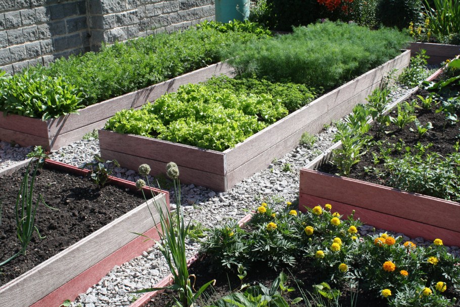 Декоративный огород