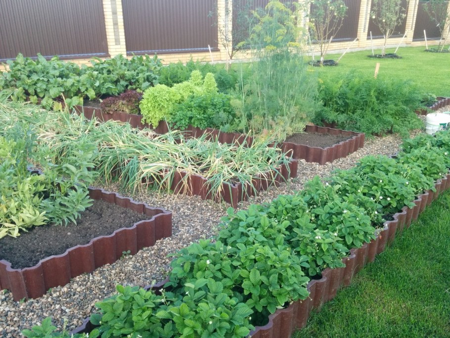 Красивый огород