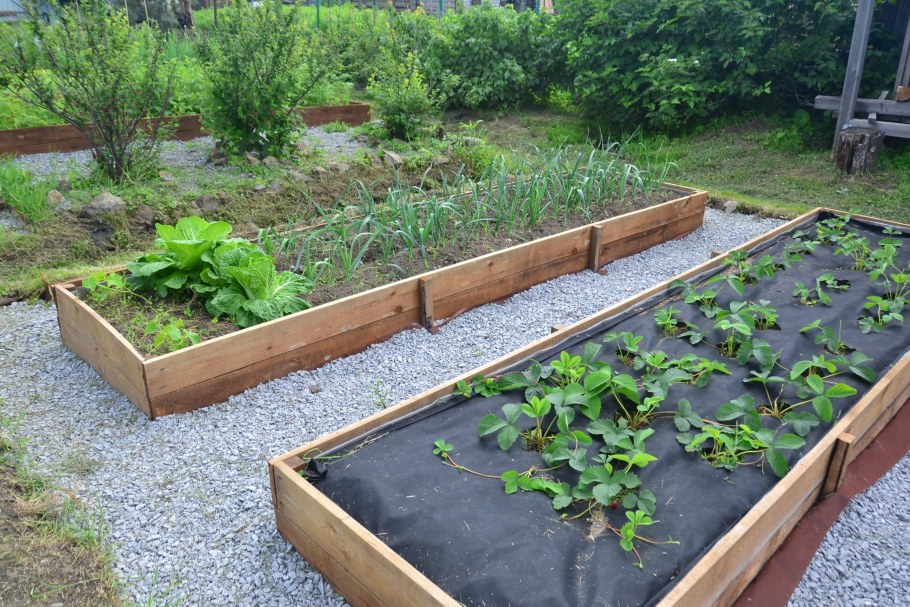 Красивые деревянные грядки
