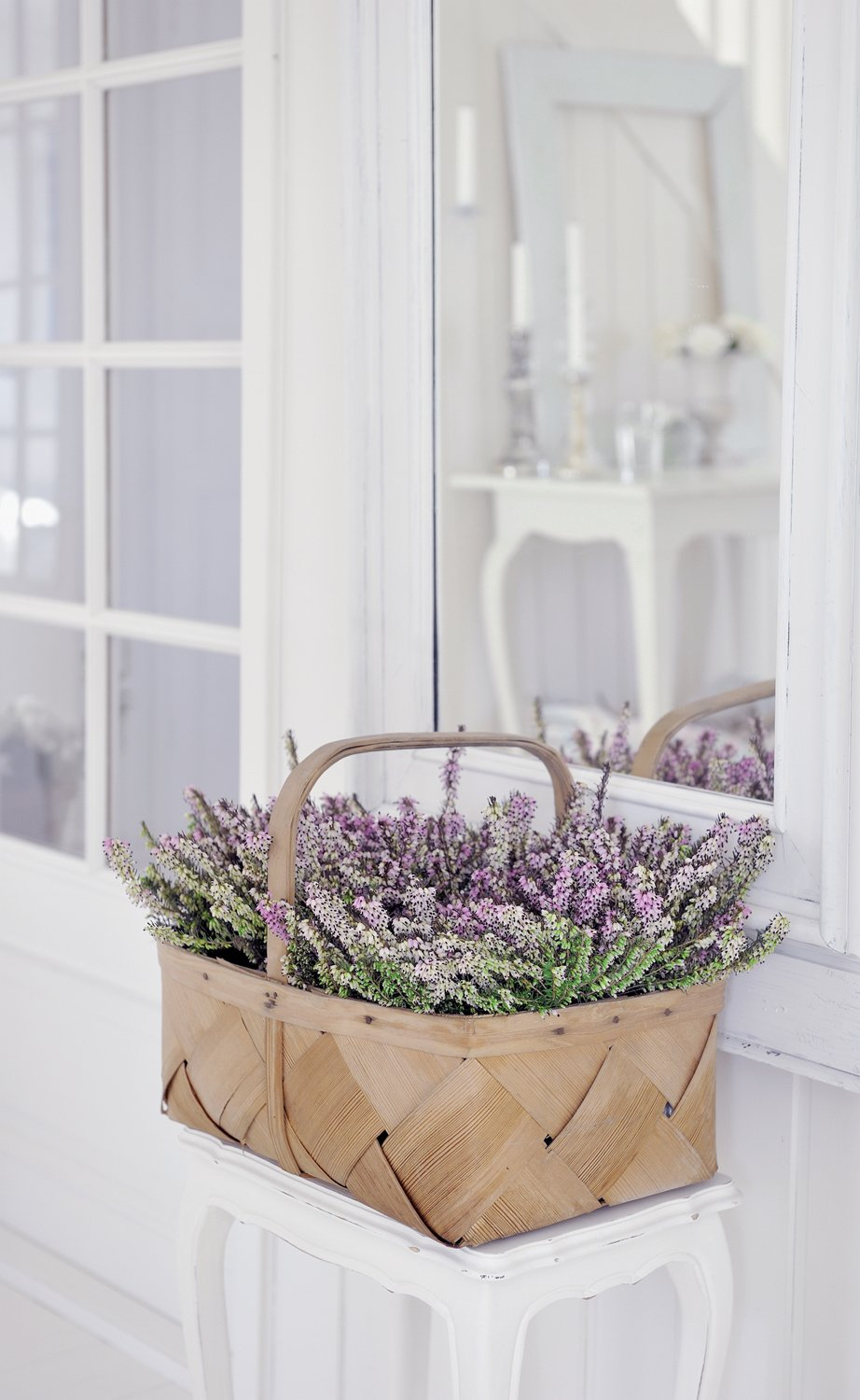 Сканди Лаванда