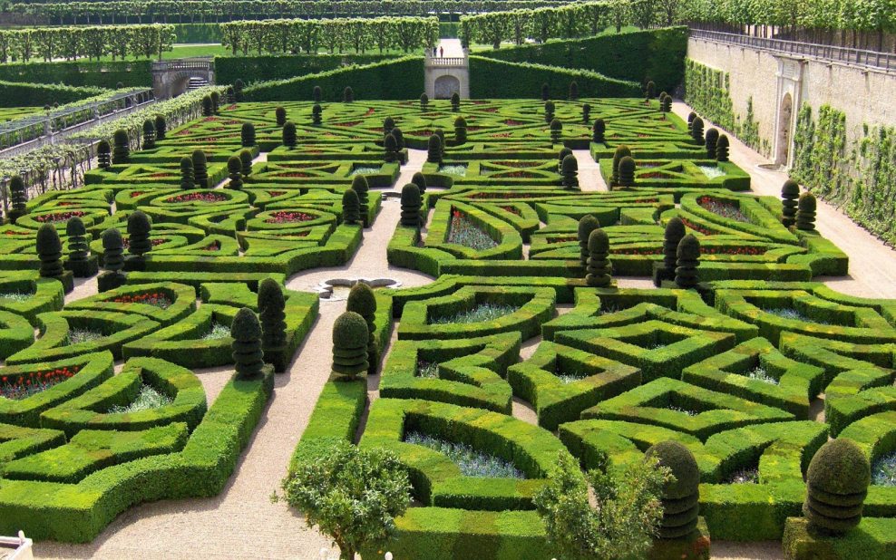 Топиарное искусство Версаль Франция