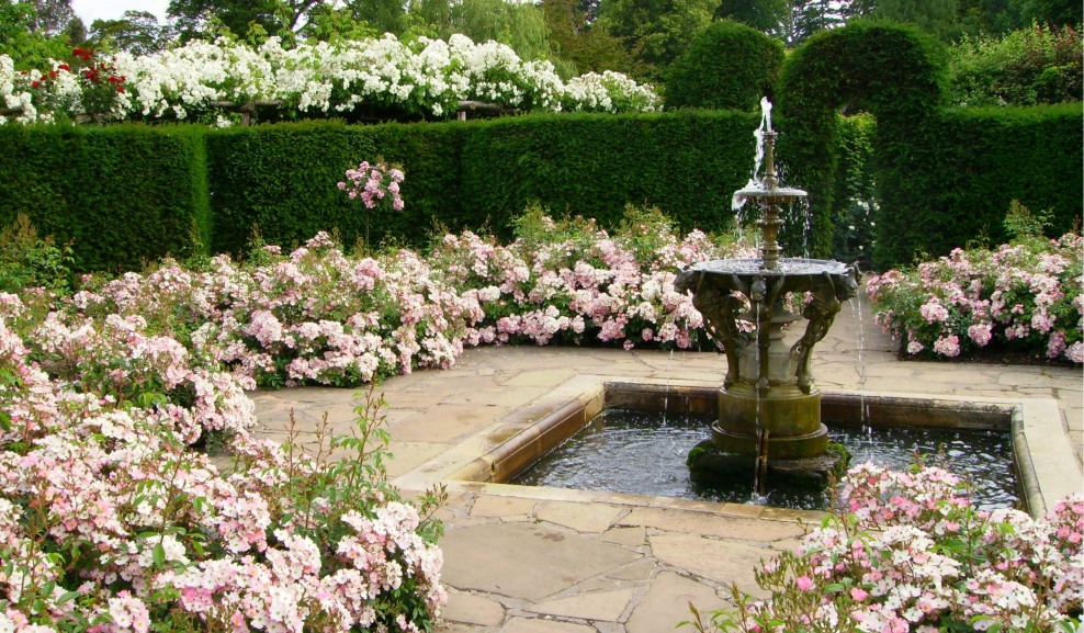 Сады замка Хивер розарий