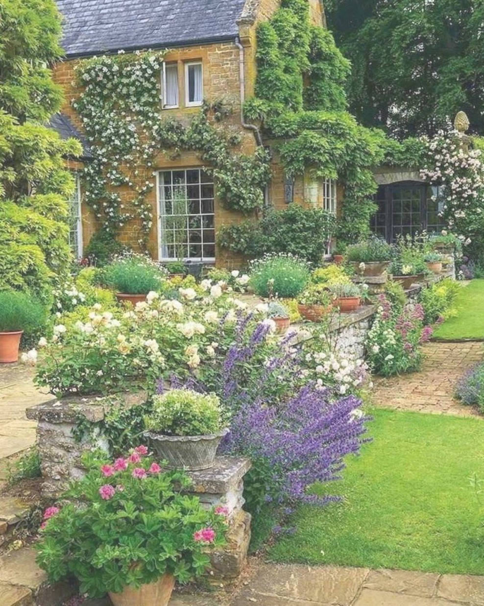 Английский сад розарий