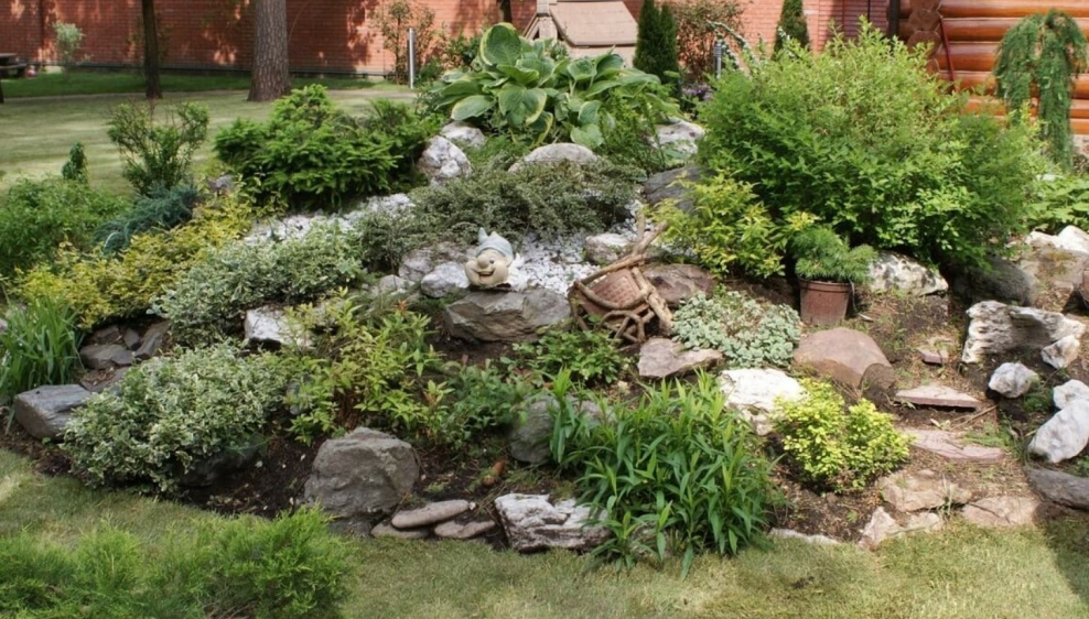 Рокарий горный ручей