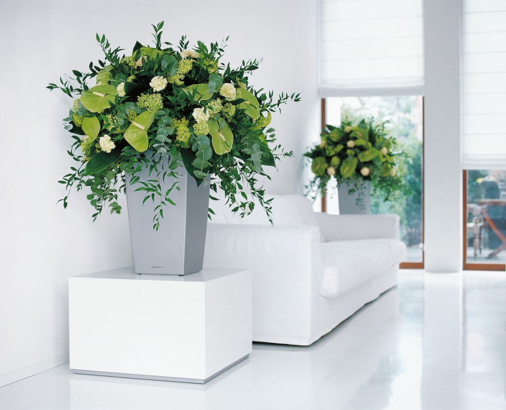 Цветочные композиции в кашпо