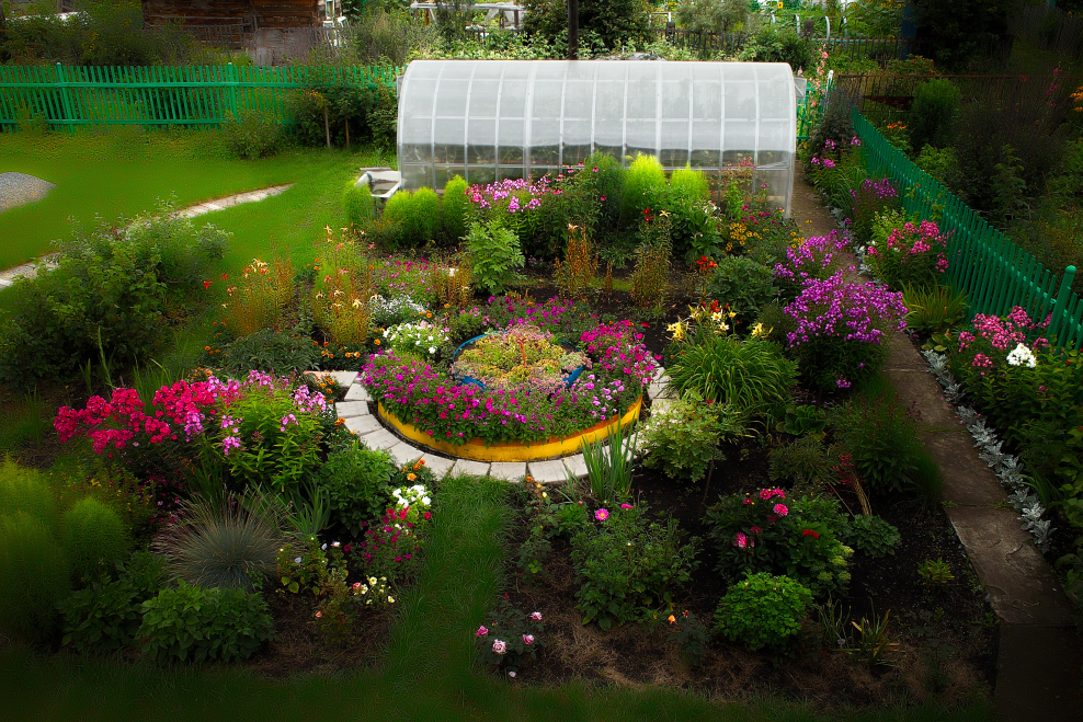 Фото садовых участков с грядками и цветами
