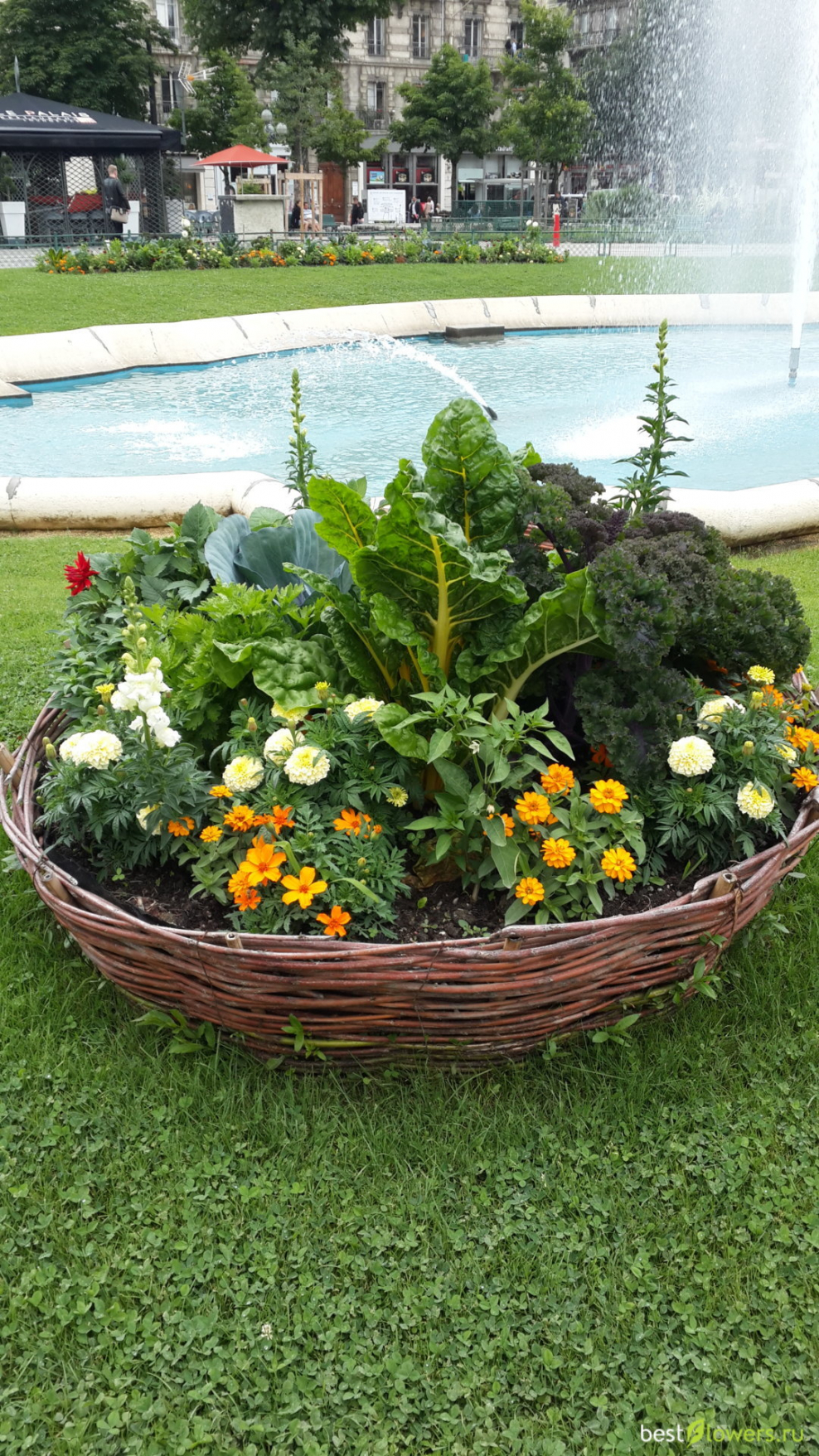 Клумба для цветов