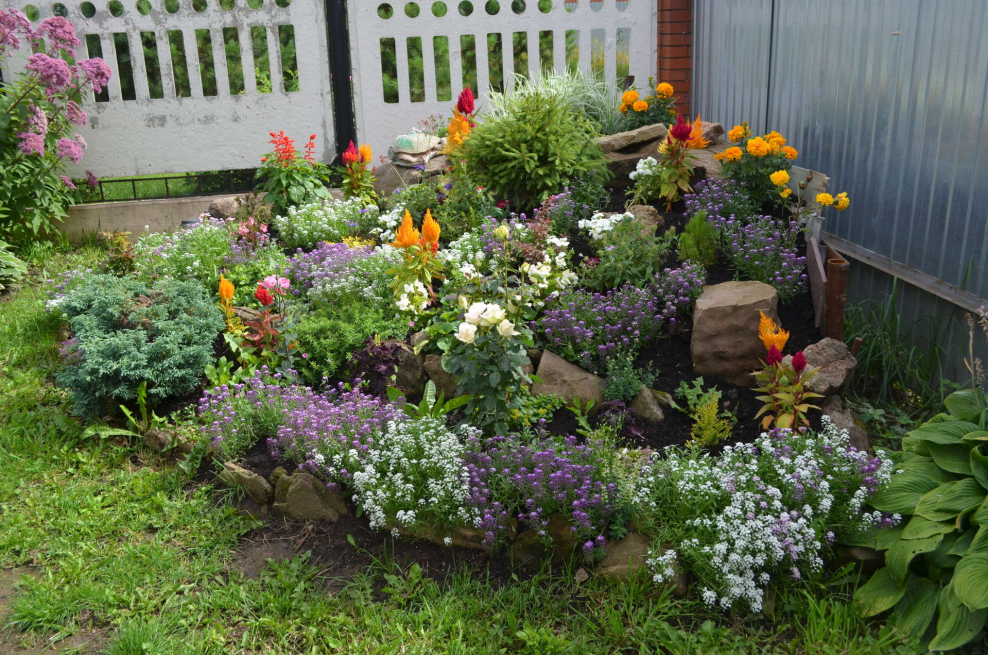 Композиция для палисадника