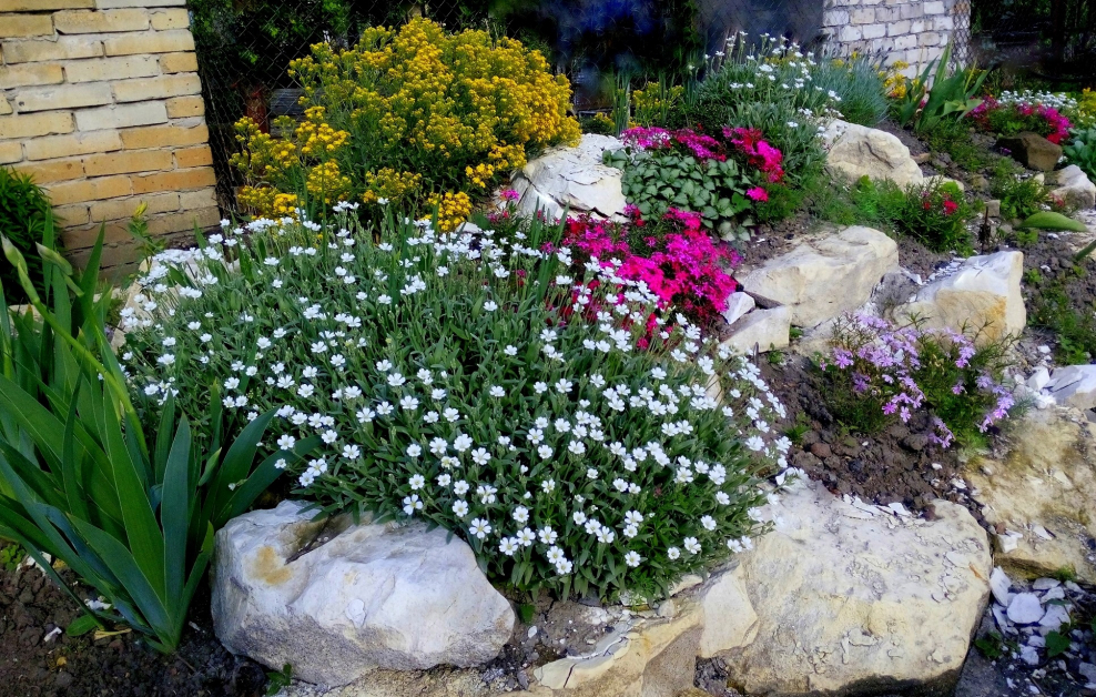 Альпийская горка Матиола