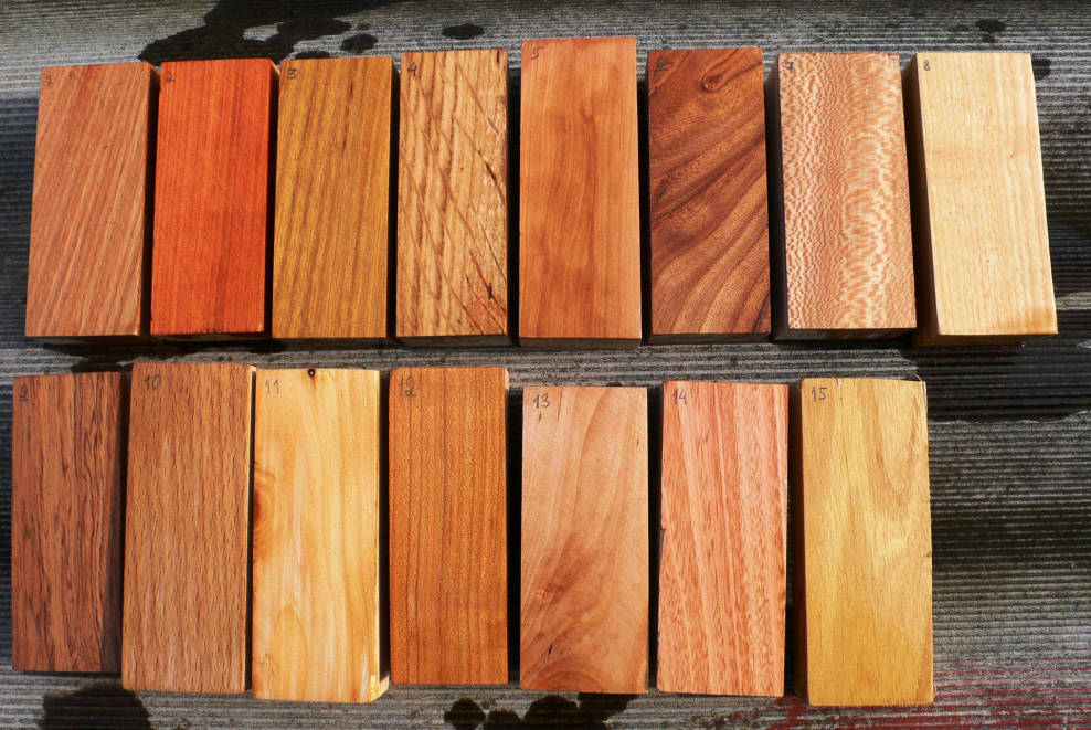 Породы деревьев