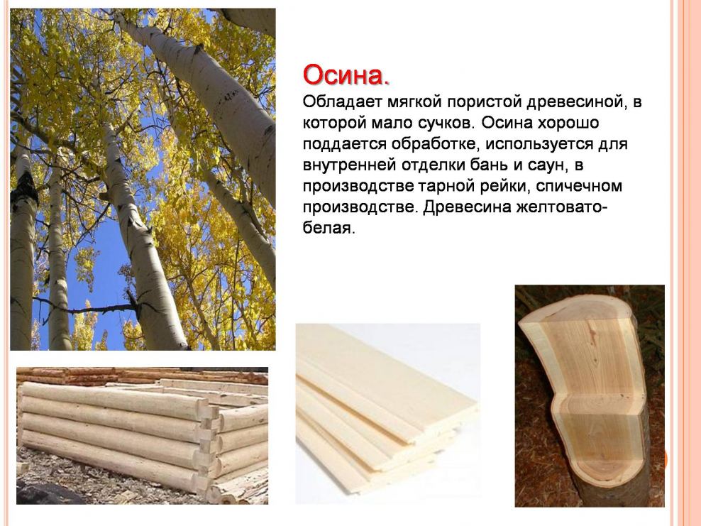 Minwax Wood finish цвета